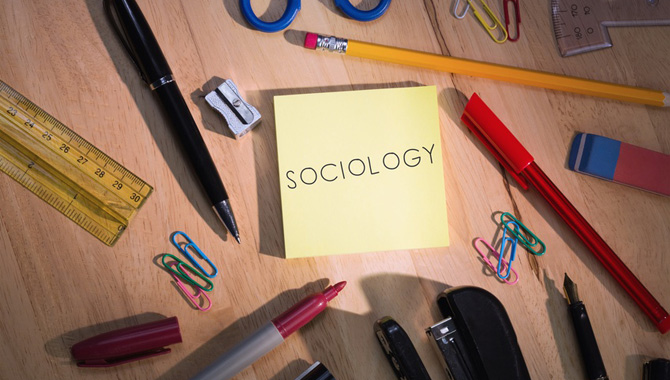 Sample sociology essay questions