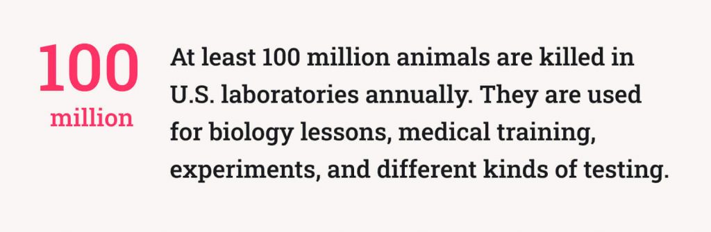 The picture provides the statistics about the number of animals being killed in the U.S.