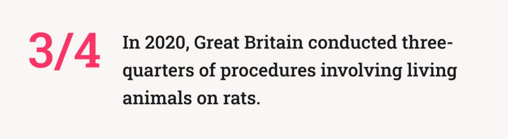 The picture provides information about the number of rats used in Great Britain for different purposes.