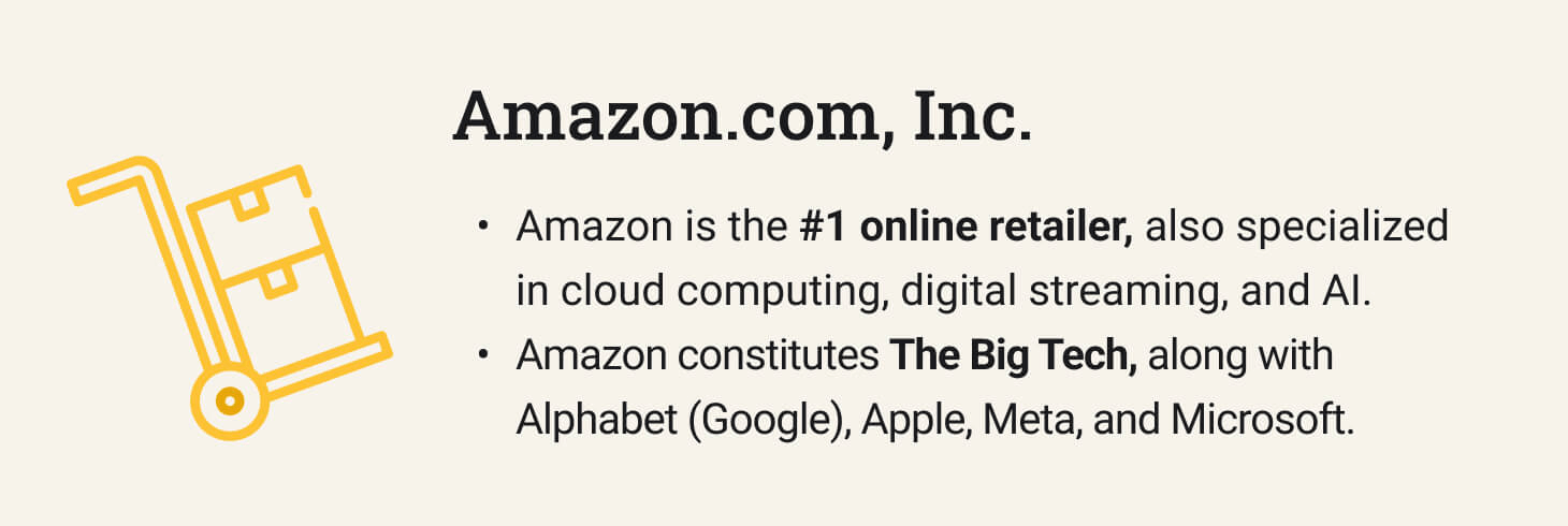The picture provides introductory information about Amazon.