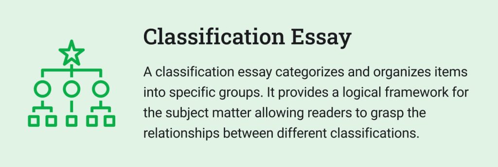 The picture provides introductory information about the classification essay.