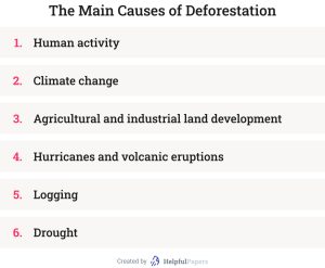 223 Deforestation Topics For Essays Research Papers Speeches