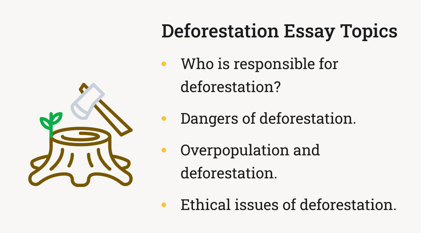 solution to deforestation essay